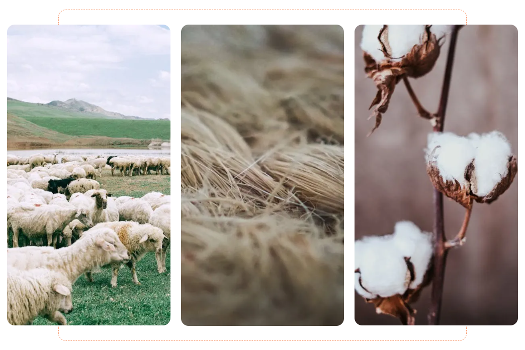 1758866444754650.png e97fa539a06ea7992331cb23c76ff149.png