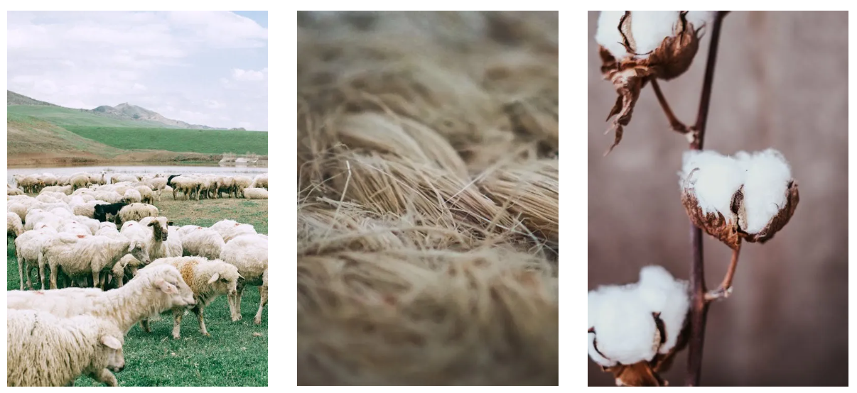 1759812999110564.png 9045f3264d28867b4c2cb9013c6a1acd.png